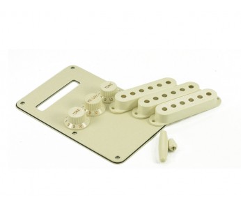 Guitar Patrol - Fender parchment accessory kit for Strat