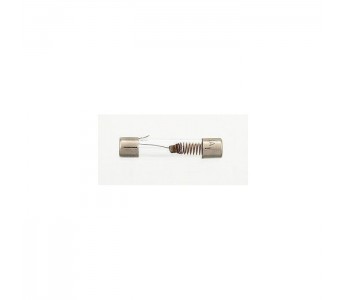 Allparts 2 Ampere Slow Blowing Fuse (5 pcs)