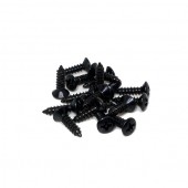 Guitar Patrol - Virgo Fender-style pickguard and backplate screw set (20) - Black