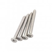 Guitar Patrol - Guitar and bass neck screws, chrome