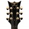 Guitar Patrol - DBZ Guitars Bolero FM Headstock