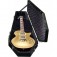 Coffin Case 200B Guitar Case