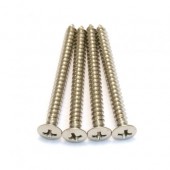 Guitar Patrol - Allparts GS-0005-001 Nickel Neckplate Screws