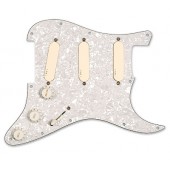 Guitar Patrol - EMG Pro Series David Gilmour DG-20 Pickguard